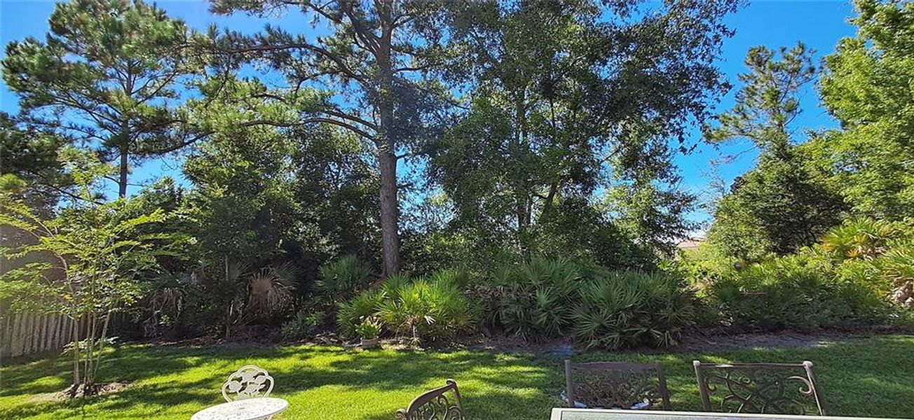 Natural landscape and outdoor views near in Palm Coast (Image 31). Natural landscape and outdoor views near in Palm Coast (Image 31).