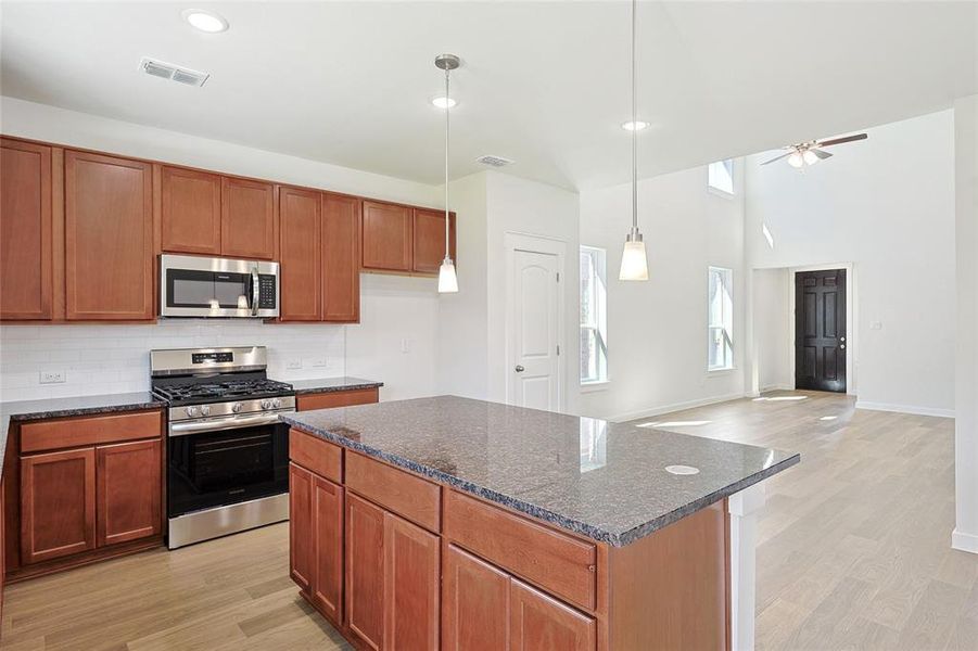 Kitchen featuring light hardwood / wood-style floors, a center island, stainless steel appliances, decorative light fixtures, and ceiling fan