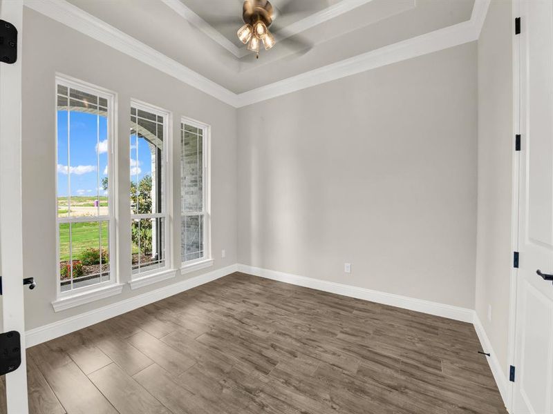 Spare room featuring a ceiling fan, dark wood-style flooring, a raised ceiling, baseboards, and ornamental molding Spare room featuring a ceiling fan, dark wood-style flooring, a raised ceiling, baseboards, and ornamental molding