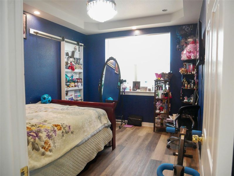Bedroom with wood finished floors and a tray ceiling