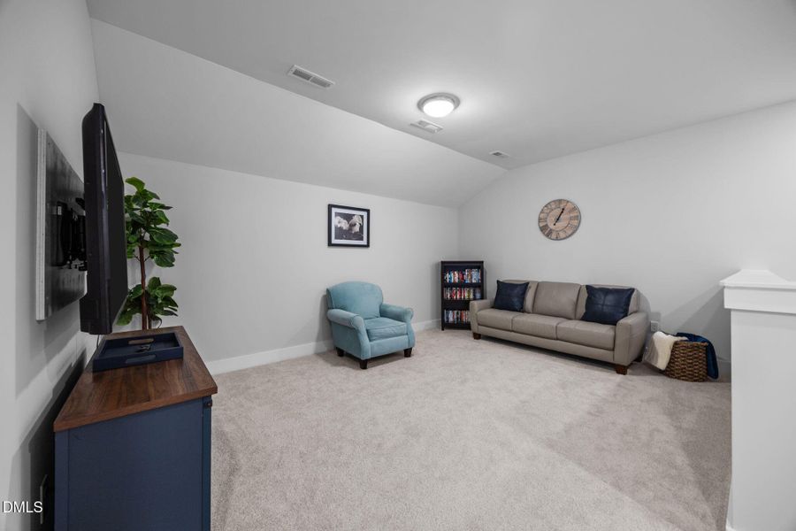 11-web-or-mls-IMG_1449