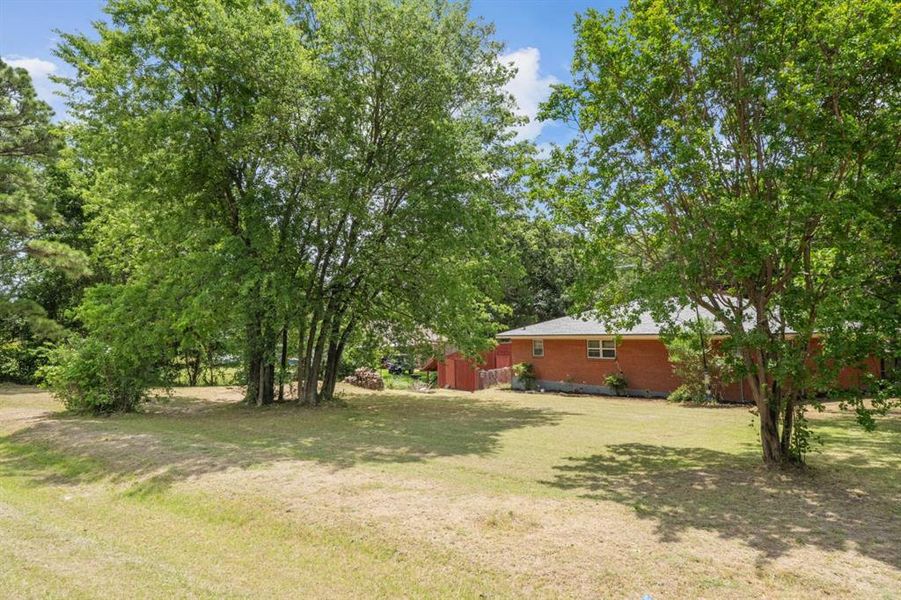 Natural landscape and outdoor views near  in Gun Barrel City (Image 20).