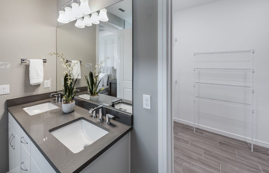 Owner's bathroom and walk-in closet