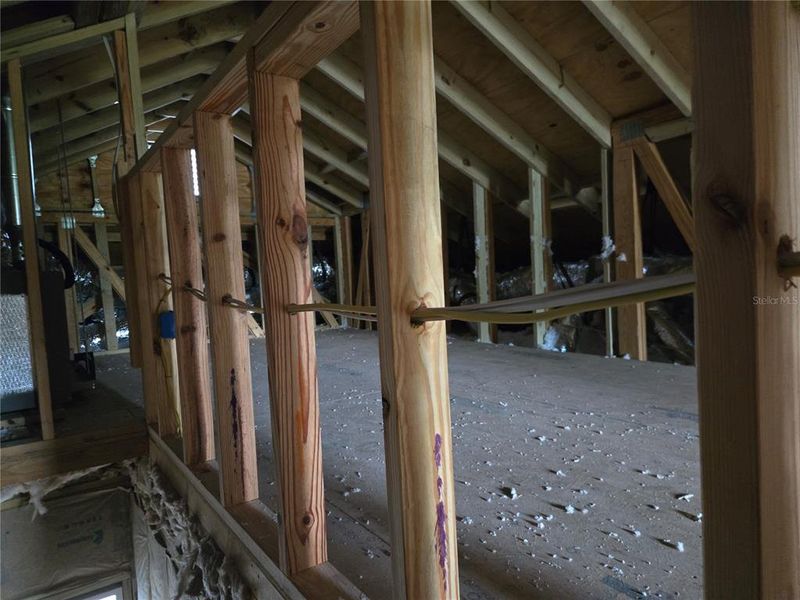 In-progress construction of a new home in , Tampa, FL (Image 19).