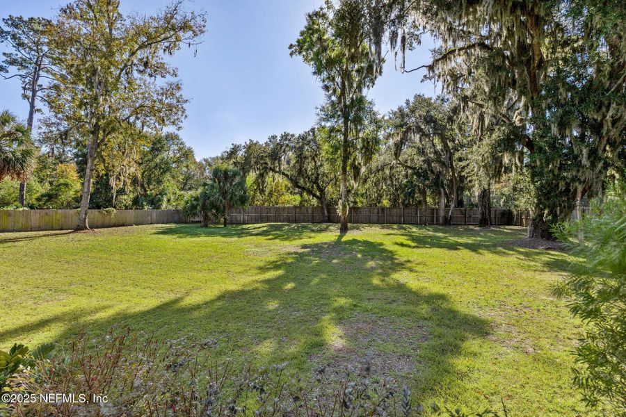 Natural landscape and outdoor views near in Yulee (Image 34). Natural landscape and outdoor views near in Yulee (Image 34).