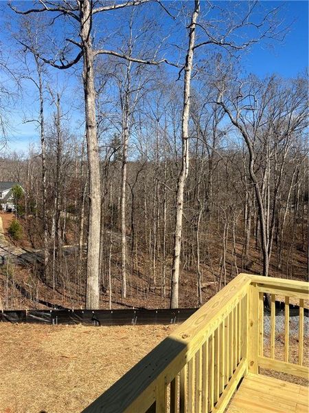 Natural landscape and outdoor views near in Gainesville (Image 26). Natural landscape and outdoor views near in Gainesville (Image 26).