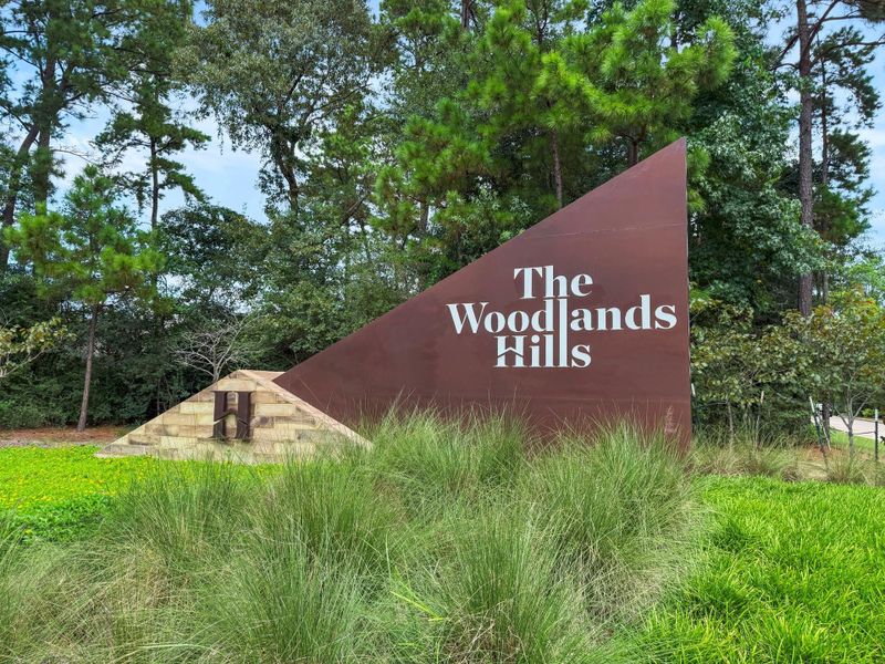 The Howard Hughes corporation knocked it out of the park with this community The Howard Hughes corporation knocked it out of the park with this community