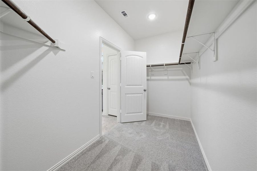 Walk in closet featuring light colored carpet