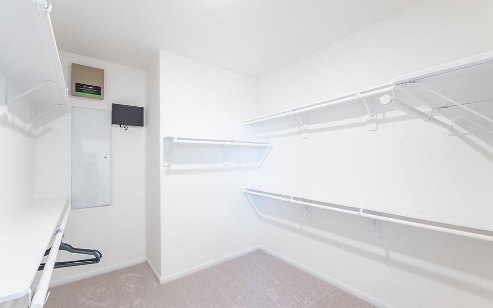 Walk in closet with carpet Walk in closet with carpet