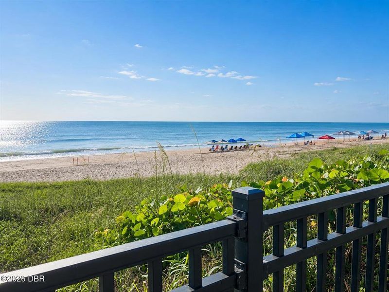 Natural landscape and outdoor views near  in Daytona Beach (Image 50).