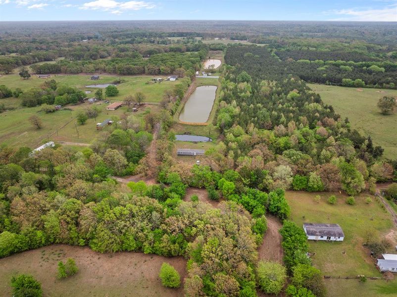 Natural landscape and outdoor views near  in Mount Pleasant (Image 19).