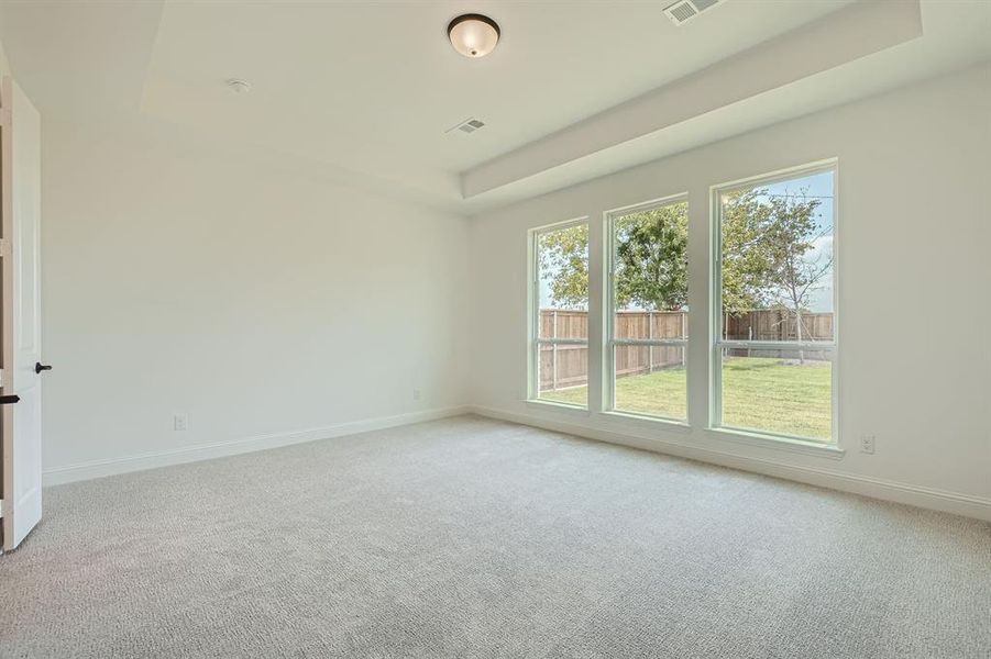 Empty room with light colored carpet and a raised ceiling