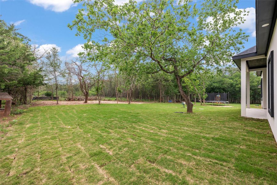 Spacious rear yard with new sod, mature trees, and a covered patio