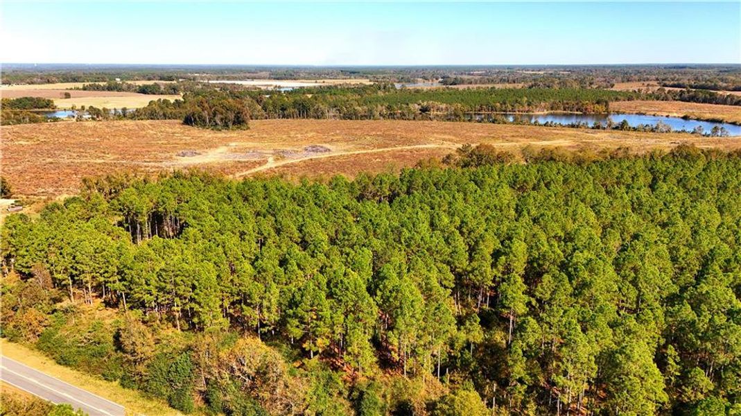 Natural landscape and outdoor views near  in Chester (Image 14).