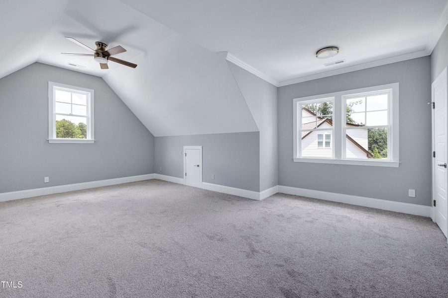 23 - bonus 23 - bonus