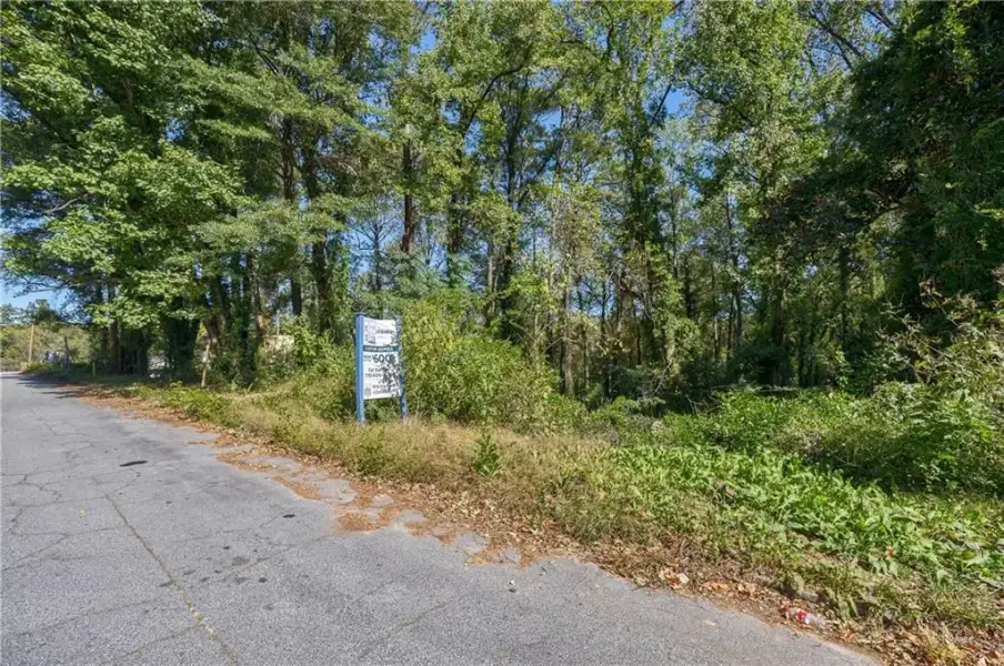 Natural landscape and outdoor views near  in Hapeville (Image 36).