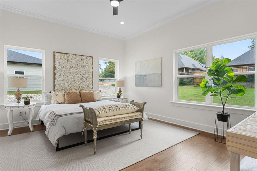 Bedroom with multiple windows, dark wood-type flooring, crown molding, and ceiling fan Bedroom with multiple windows, dark wood-type flooring, crown molding, and ceiling fan