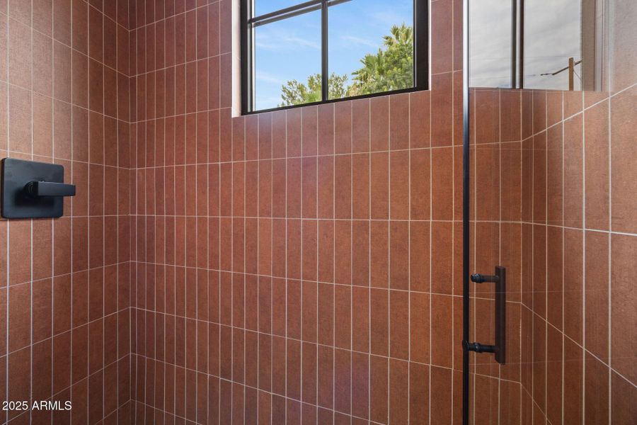 Bathroom Shower Detail 1