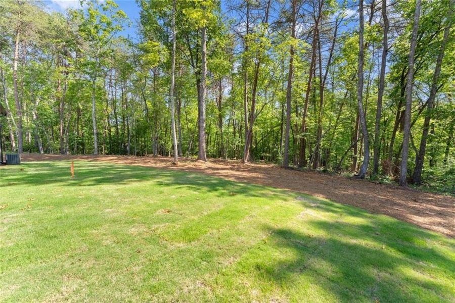 Natural landscape and outdoor views near  in Clarkesville (Image 61).