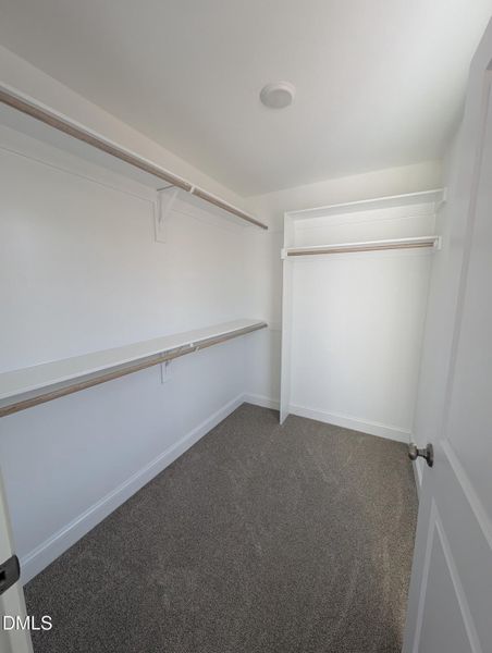 PXL_20251120_143246528 PXL_20251120_143246528