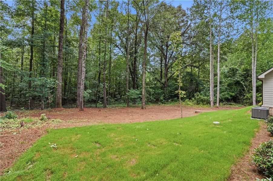 Natural landscape and outdoor views near in Pendergrass (Image 70). Natural landscape and outdoor views near in Pendergrass (Image 70).
