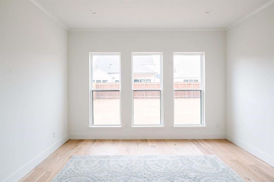 Empty room featuring ornamental molding, light wood-type flooring, and plenty of natural light