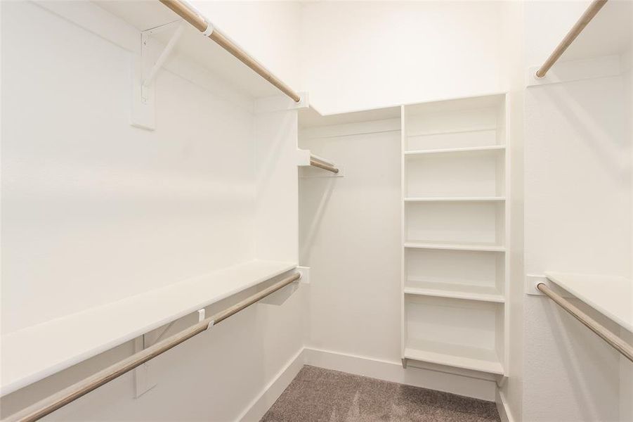 Spacious closet featuring carpet