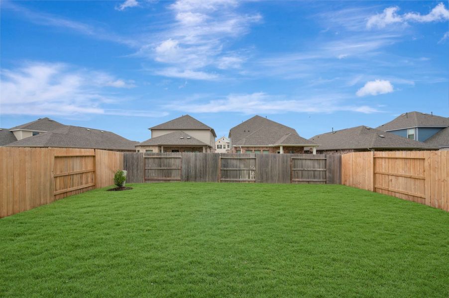 Backyard