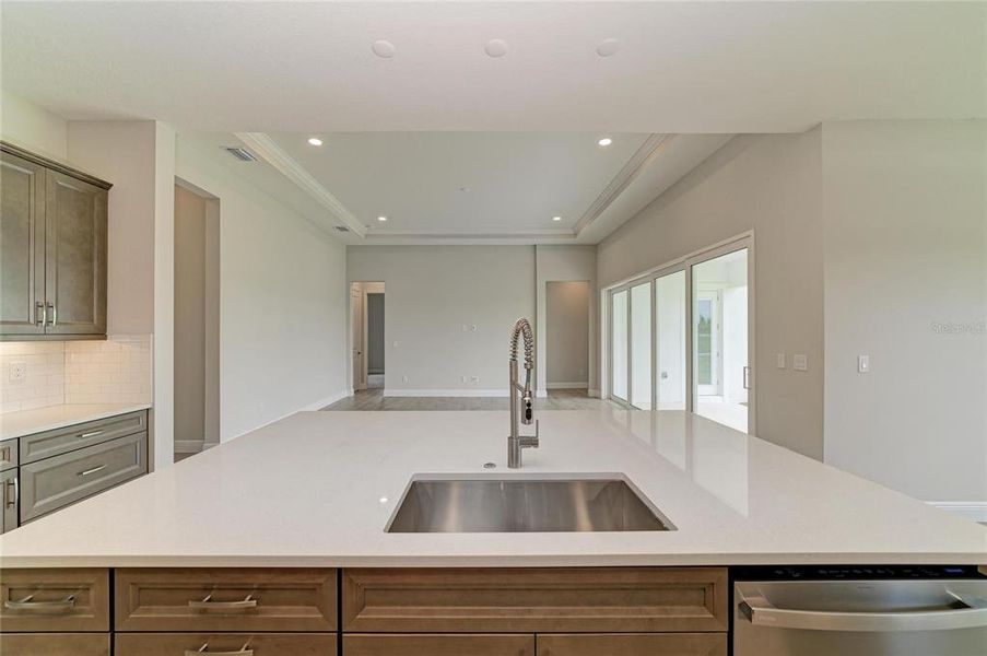 Close-up of interior finishes inside a home in North River Ranch, Parrish (Image 15).