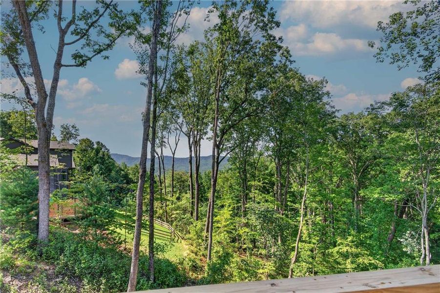 Natural landscape and outdoor views near in Ellijay (Image 64). Natural landscape and outdoor views near in Ellijay (Image 64).