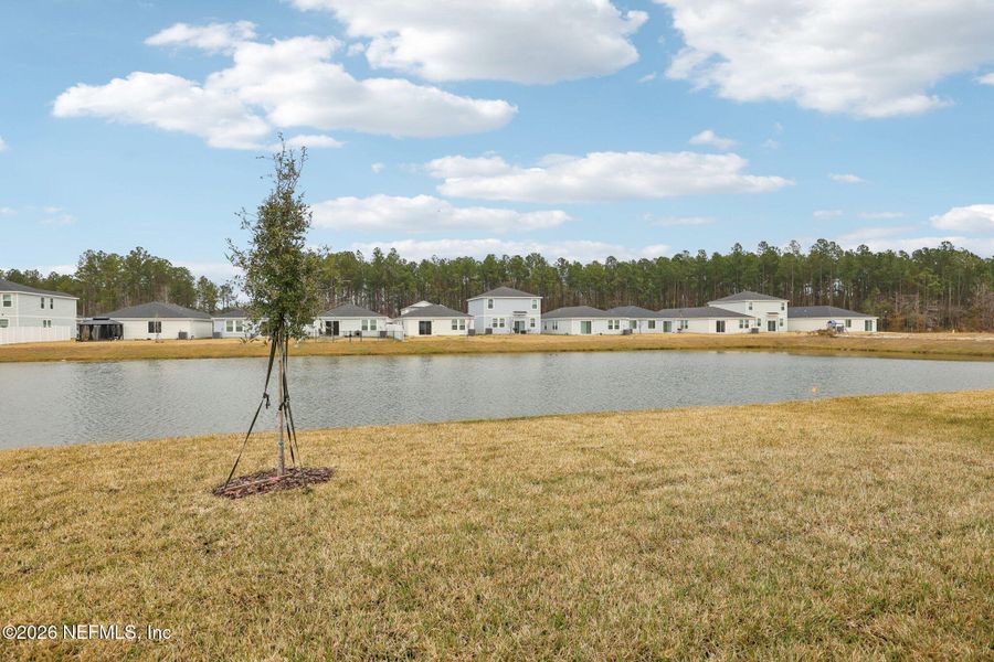 Natural landscape and outdoor views near Kings Preserve in Jacksonville (Image 42). Natural landscape and outdoor views near Kings Preserve in Jacksonville (Image 42).