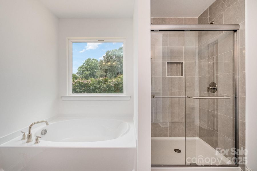 Representational Photo Only