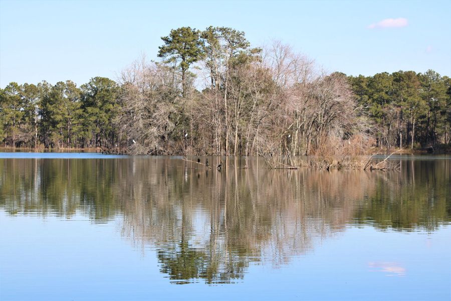 Natural landscape and outdoor views near in Summerville (Image 28). Natural landscape and outdoor views near in Summerville (Image 28).