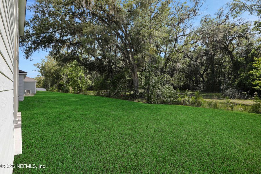 Natural landscape and outdoor views near Jennings Farm in Middleburg (Image 66). Natural landscape and outdoor views near Jennings Farm in Middleburg (Image 66).