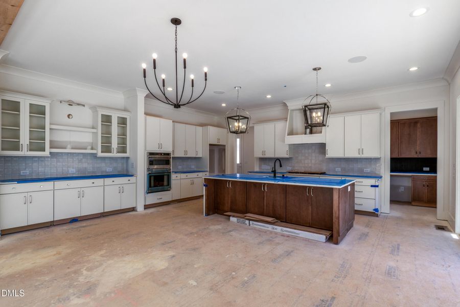 20 canvasback-2 20 canvasback-2