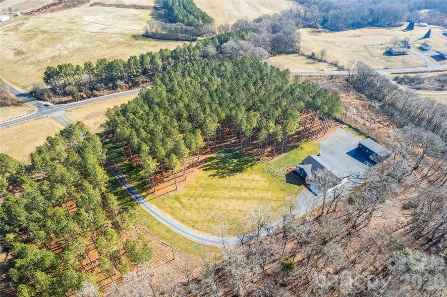 Natural landscape and outdoor views near  in Polkton (Image 31).
