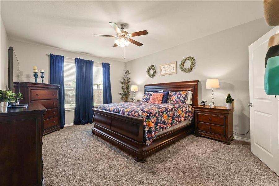 Carpeted bedroom with baseboards and a ceiling fan Carpeted bedroom with baseboards and a ceiling fan