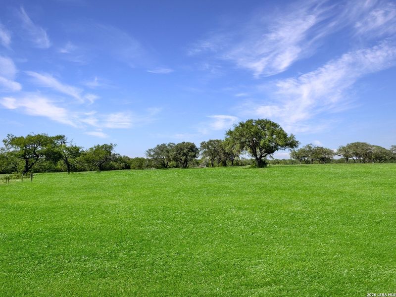 Natural landscape and outdoor views near  in Beeville (Image 16).