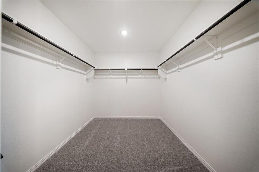 Walk in closet with light carpet