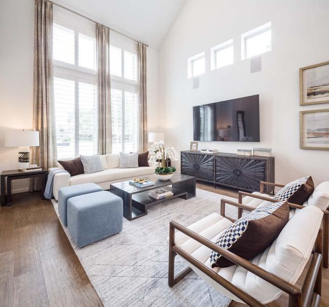Representative Family Room - some options shown