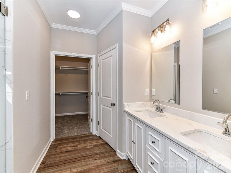 photo representation only