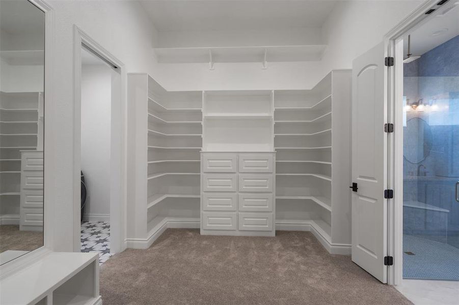 Walk in closet featuring carpet