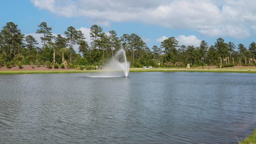 Natural landscape and outdoor views near Indigo Preserve in Leland (Image 31).