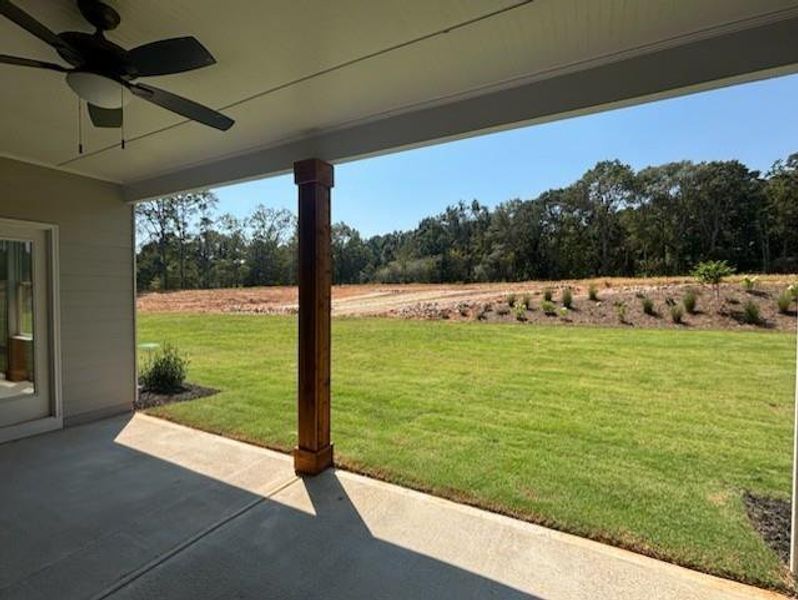 Exterior details and patio area of a home in Pinegate, Covington (Image 3).