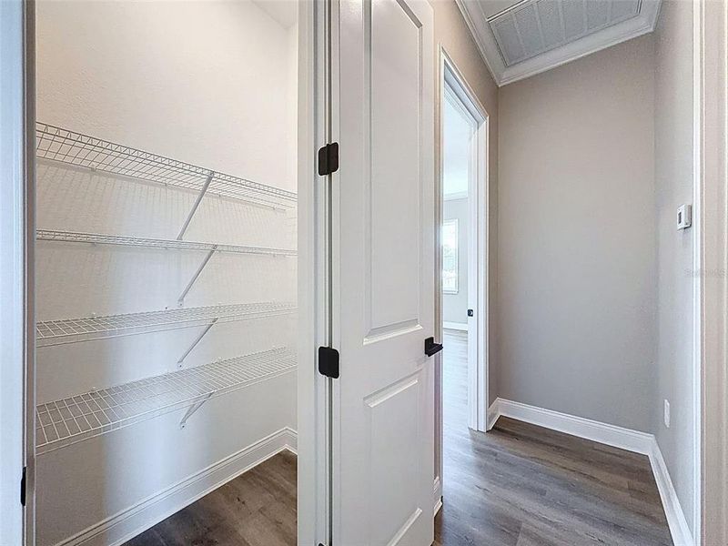 Spacious, unfurnished interior of a new home in , Lakeland (Image 62).