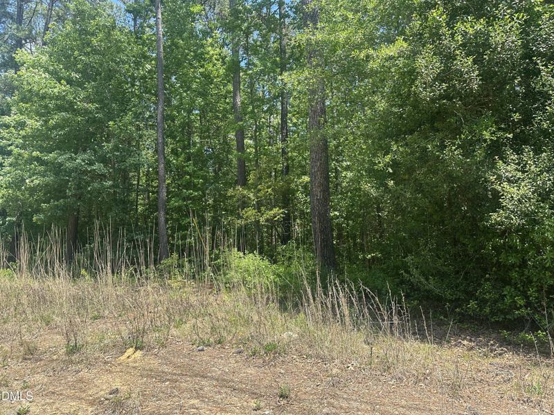 IMG_1424