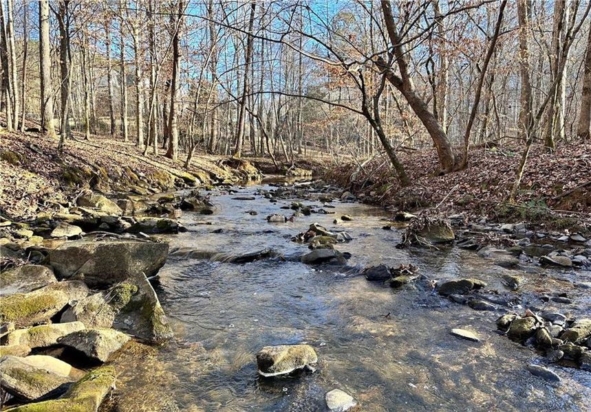 Natural landscape and outdoor views near  in Cumming (Image 16).