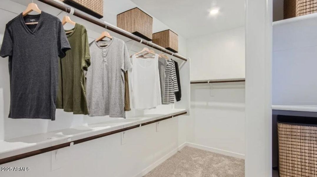 Owners Walk in Closet Owners Walk in Closet