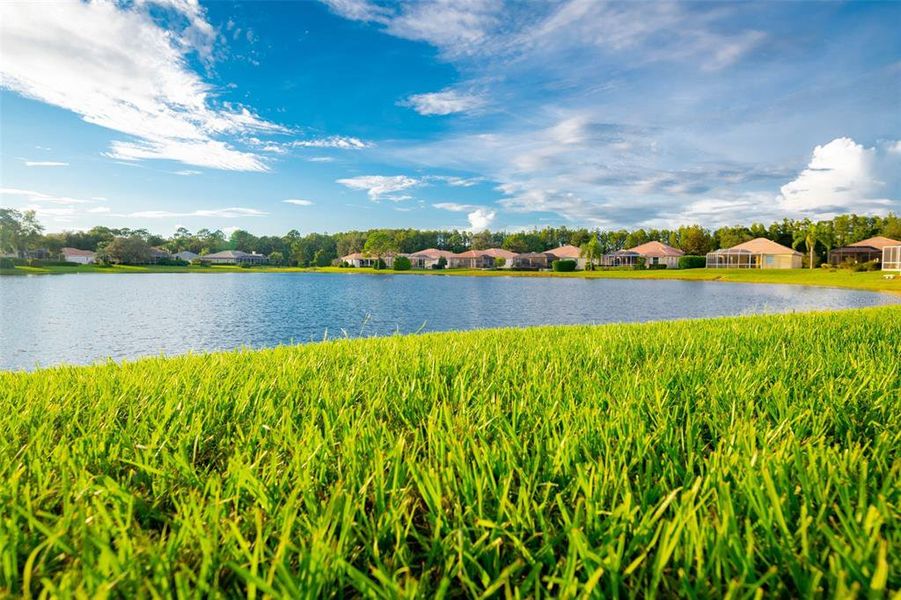 Natural landscape and outdoor views near  in Weeki Wachee (Image 56).