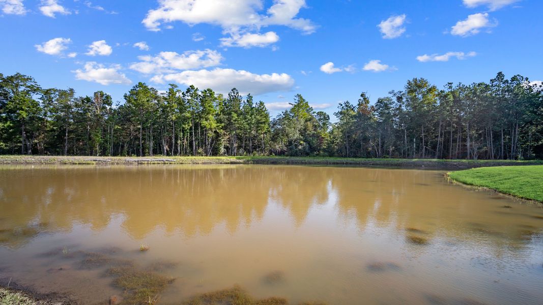 Image 37 of a home in Longleaf Village.